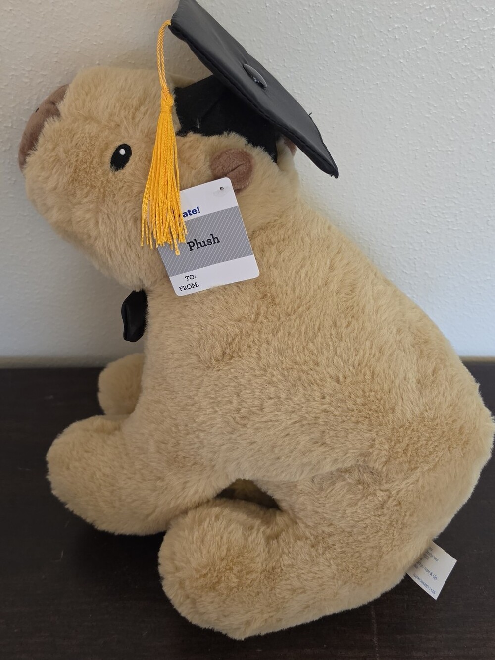 Plush Graduation Capybara in Tan with Black Cap & Tassals
